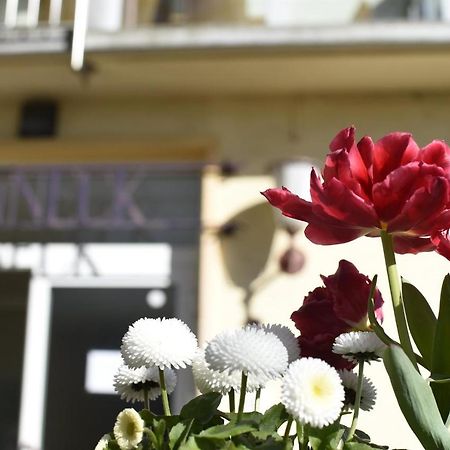 Haus Sonneck Hotel Marburg Exterior photo